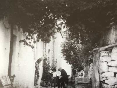 Come � possibile notare da alcune foto degli anni 50 e 60 tratte dal volume �San Michele Sammichele. La cultura dell�appartenenza� di Domenico Notarangelo, la vigna serviva a creare vere e proprie zone d�ombra nei cortili...